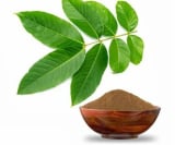 Banaba Leaf Extract